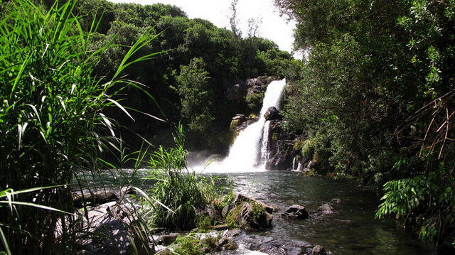 Rando Trek Réunion