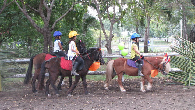 imgcarousel-name-mising