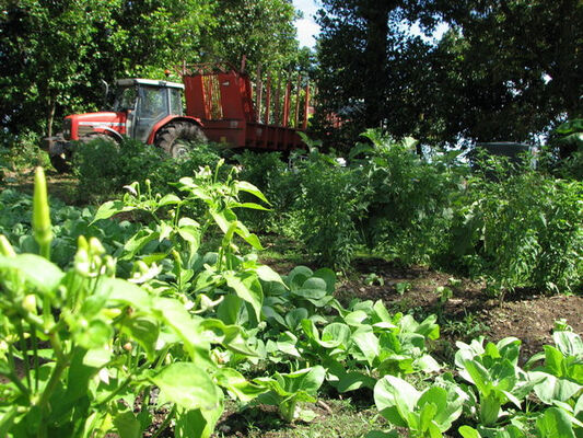 Domaine de Coco (Le)