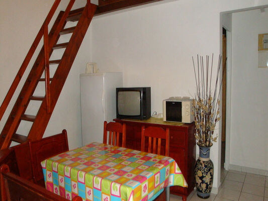 Alpinia