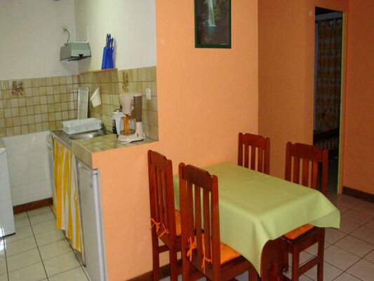 Alpinia