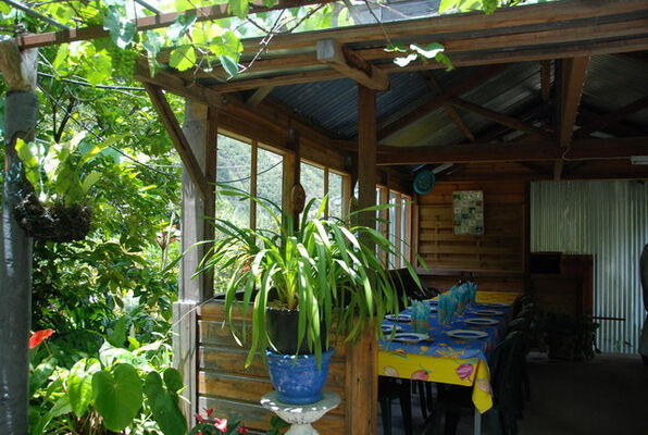 Orchidées (Les)