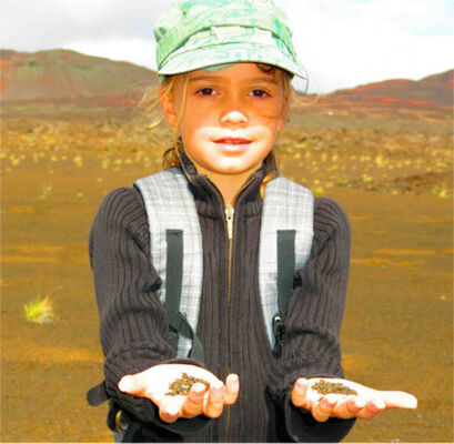 Terre Caméléon