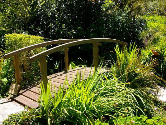 Jardin Botanique du Piton Bétoum