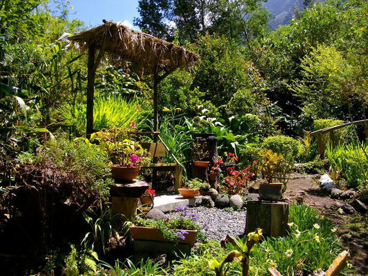 Jardin Botanique du Piton Bétoum