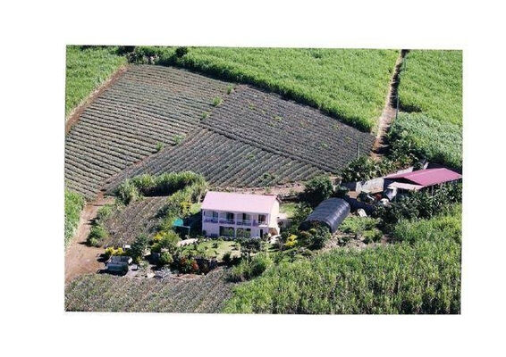 Ferme des Pitayas (La)