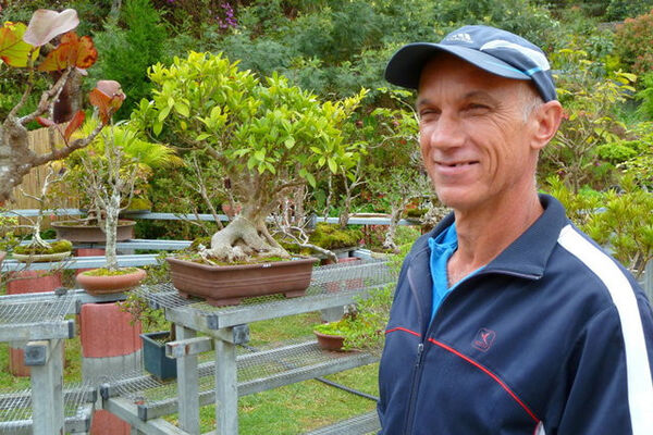 Jardin de Bonsaïs