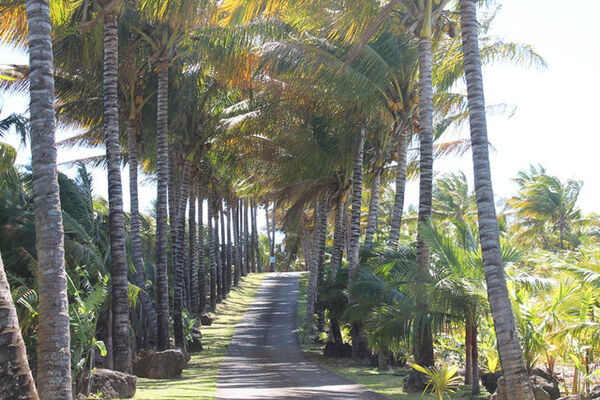 Domaine des Mille Cocos