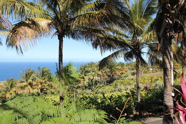 Domaine des Mille Cocos