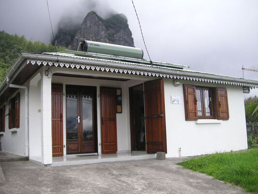 Oiseau de Paradis (L')