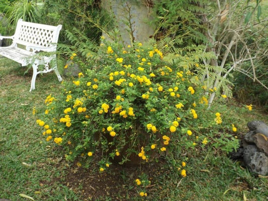 Jardin des Affouches (Le)