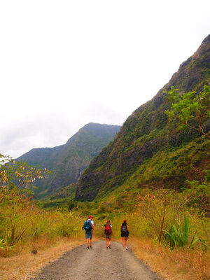 Pierre Amandine - La Réunion Côté Montagne