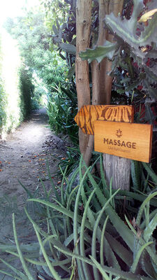 Art Run Essence Massages (L')