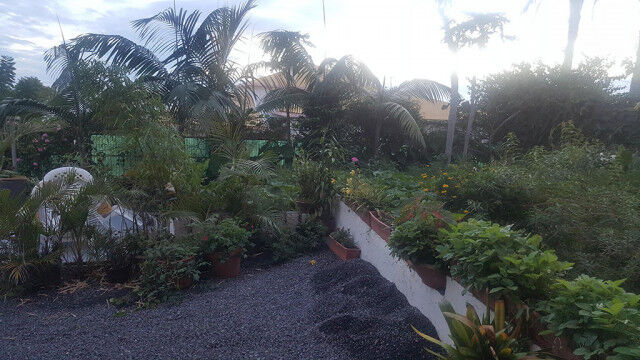 Jardins De Lé Ô (Les)