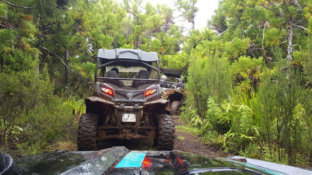 Crazy Adventures Réunion