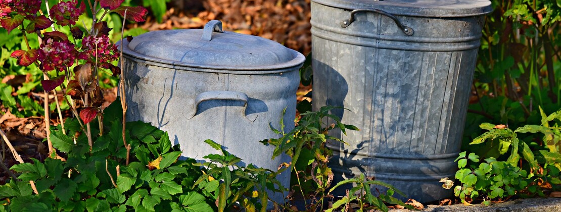 Poubelles CP MabelAmber.jpg