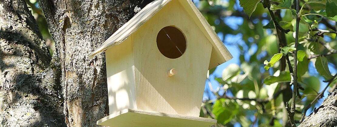 bird-house-2640932_1280.jpg
