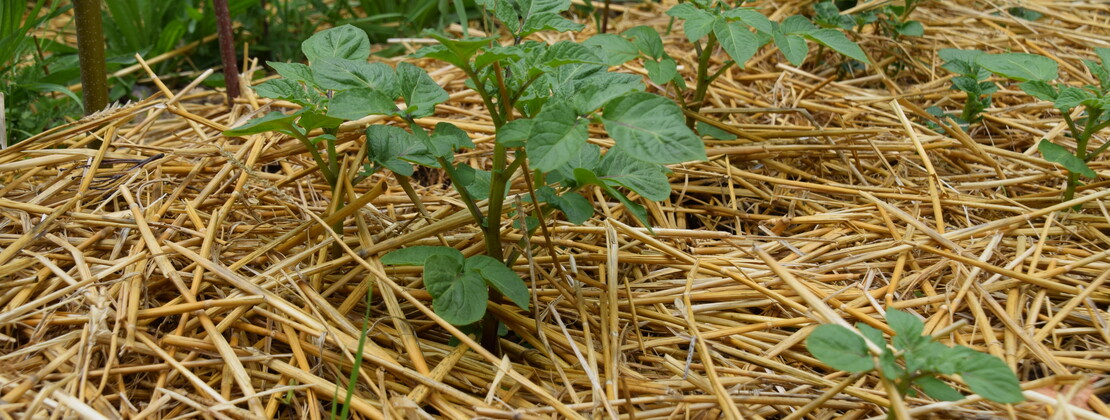 Visite CIEOA. CP Ambre Cnudde (39).JPG