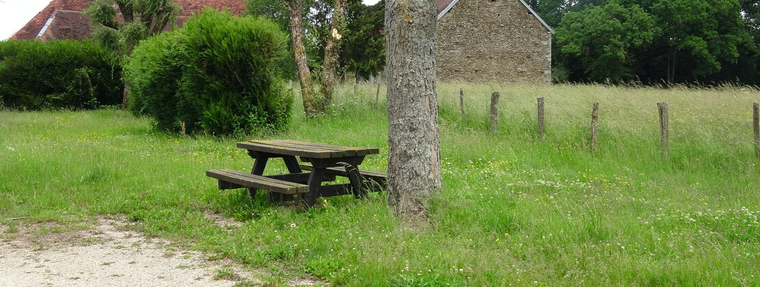 Table Cussangy.JPG