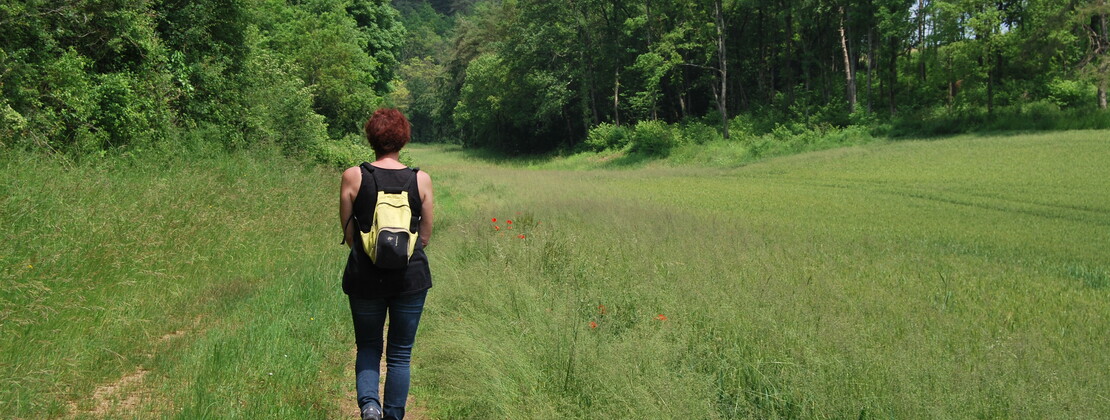 Randonnée. CP Ambre Cnudde (2).JPG