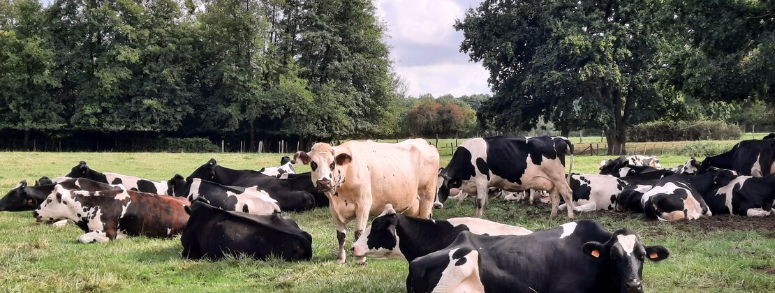 Rando Racines. cp Bérangère Beaurin (1).jpg