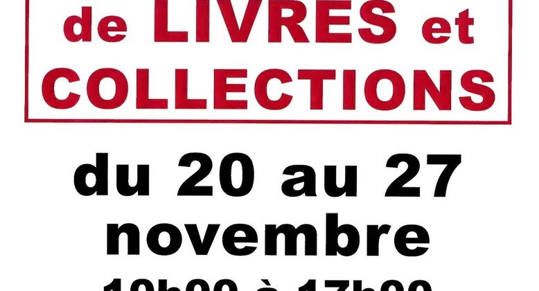20 au 27 nov - affiche RV du livre.jpg