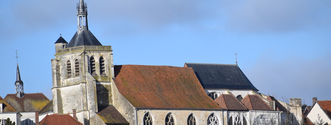 Vue d_Ervy. CP Ambre Cnudde (3).JPG