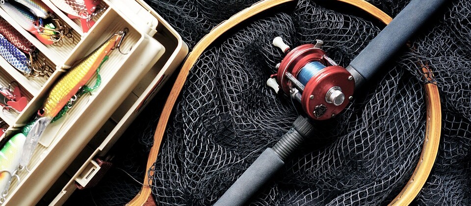 peche. CP TheDigitalWay.jpg