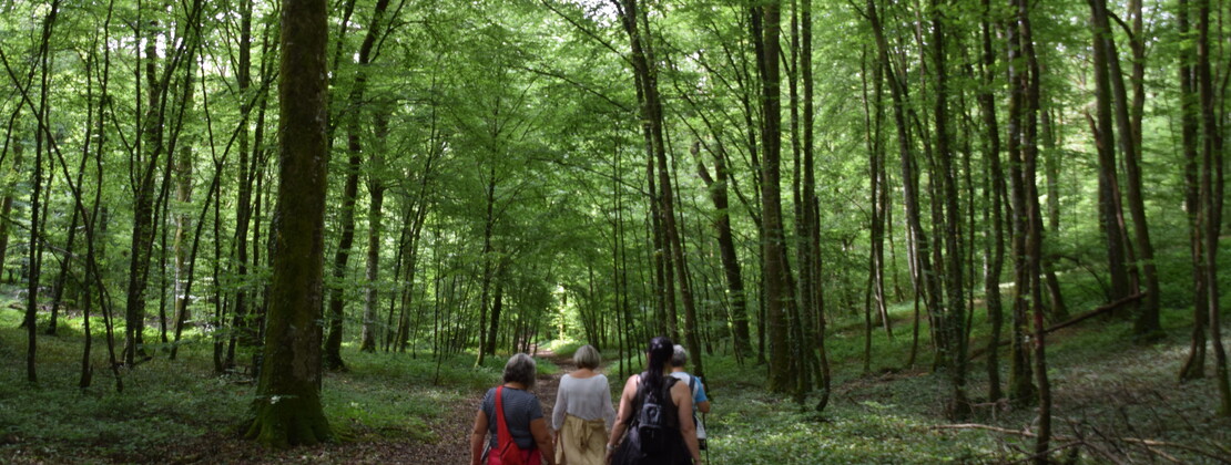 Rando Vosnon 10.07.21. CP Ambre Cnudde (11).JPG