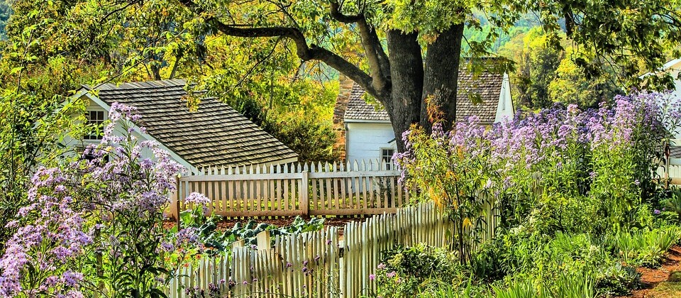 garden-191782_960_720.jpg