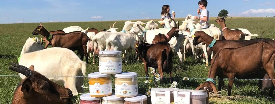 PHOTO FERME DES DAMOISELLES COUSSEGREY.jpg