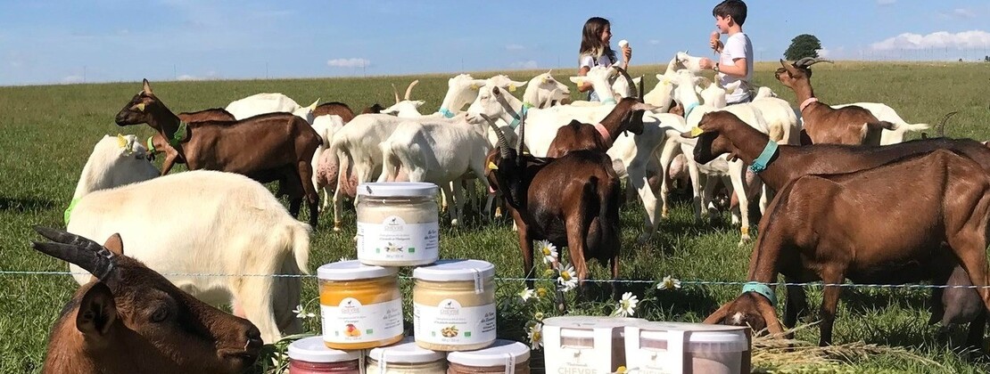 FERME DES DAMOISELLES.jpg