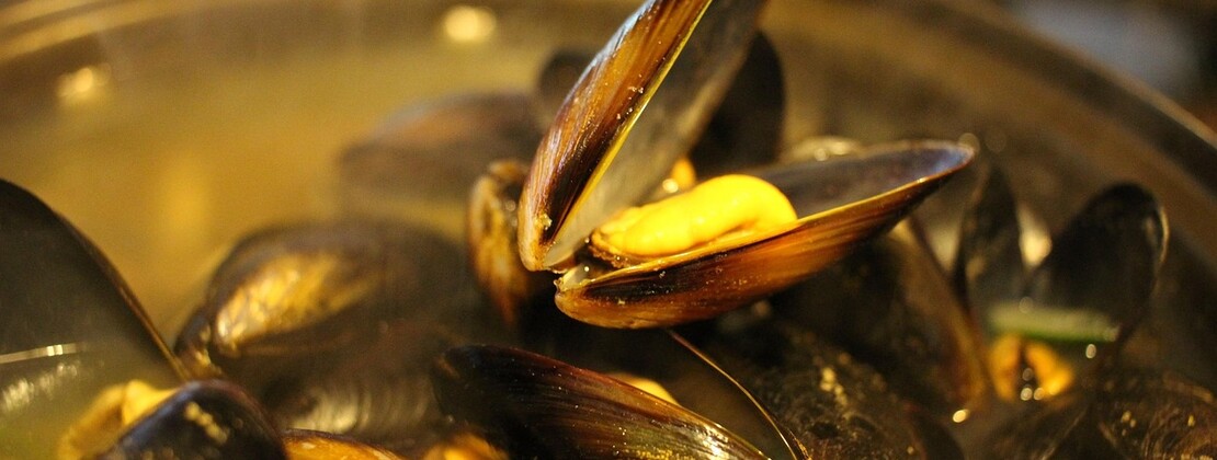 moule.jpg