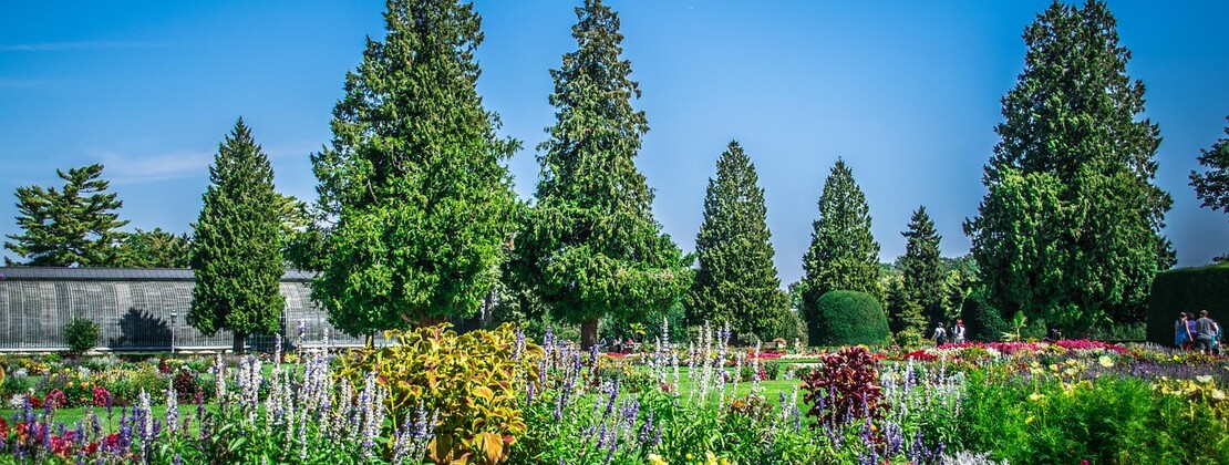 park-3714830_1280.jpg