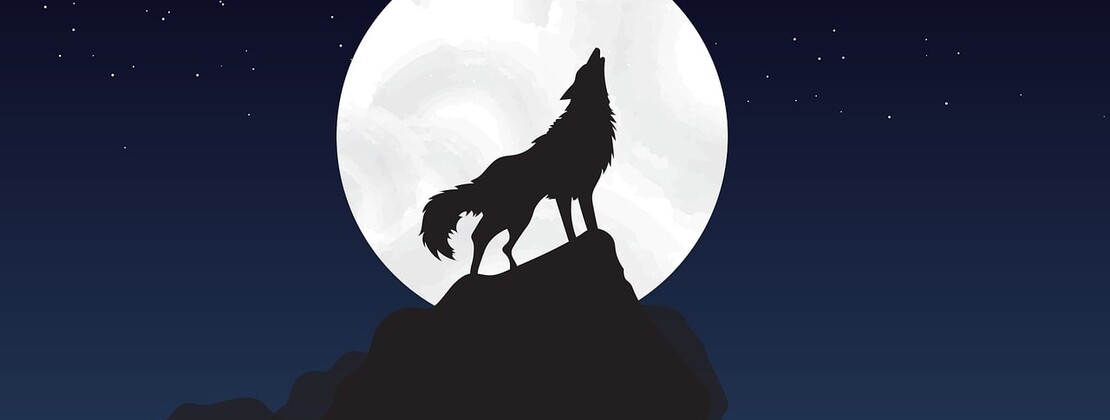 wolf-4561204_1280.jpg