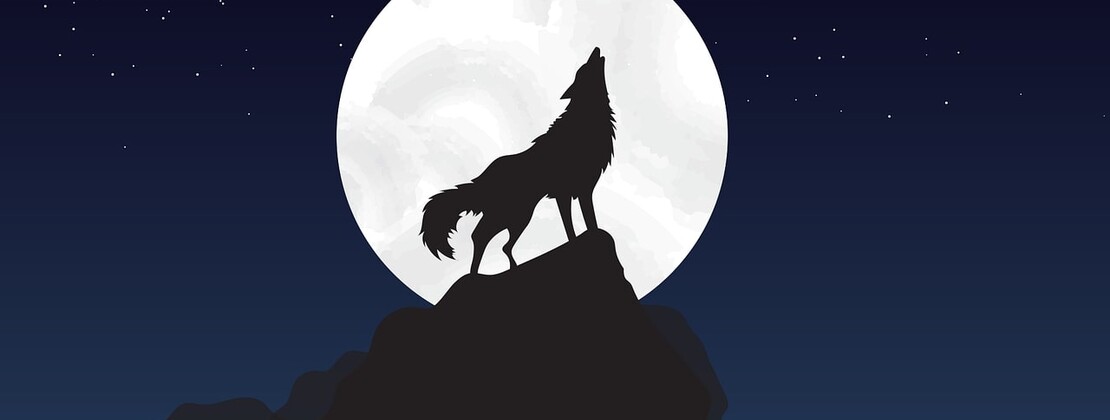 loup.jpg