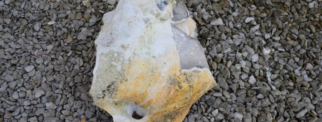 Silex day.JPG