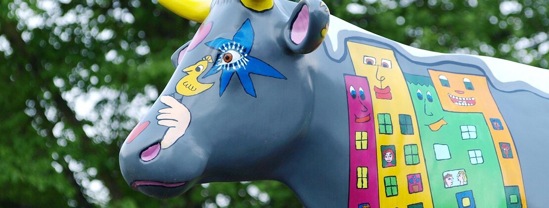cow-335451_1280.jpg
