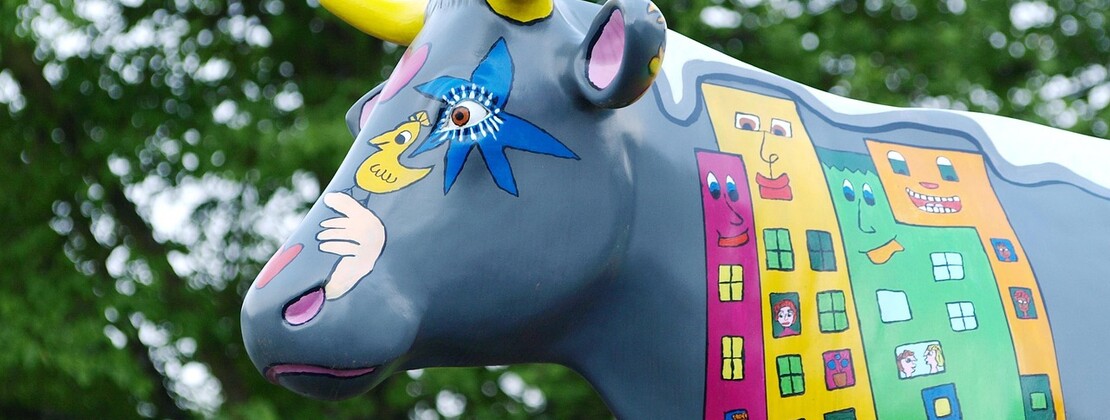 cow-335451_1280.jpg