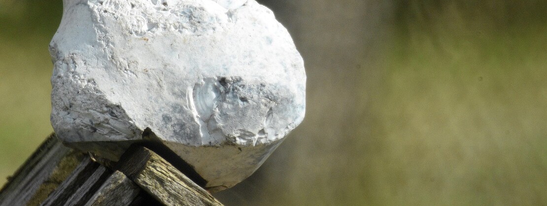stone-5220229_1280.jpg