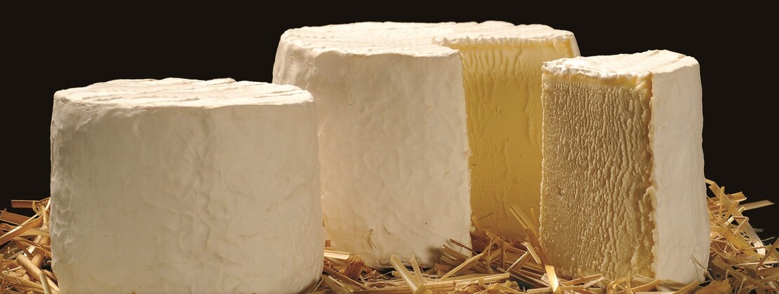Chaource HR credit photo Vogel.jpg