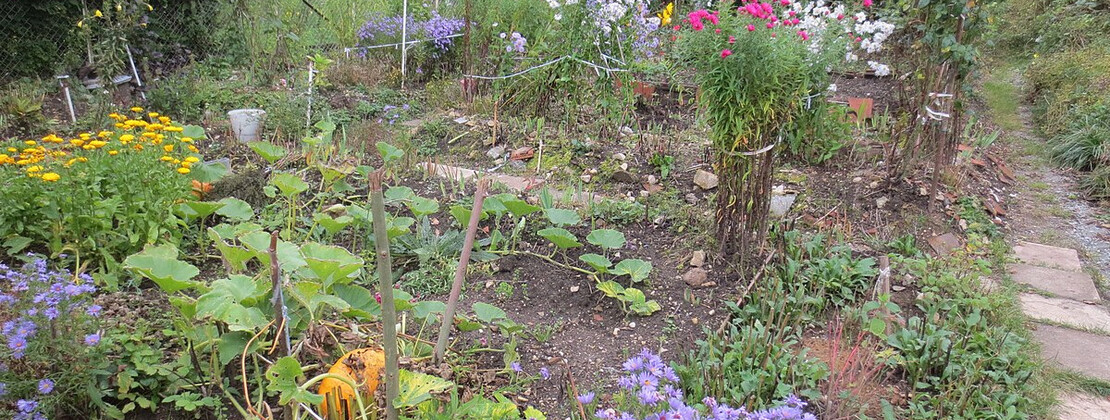 potager2.jpg