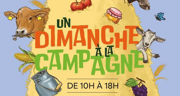 2025-04-27 copie.jpg