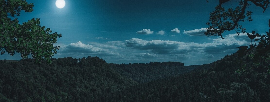 nature-3194001_1280.jpg