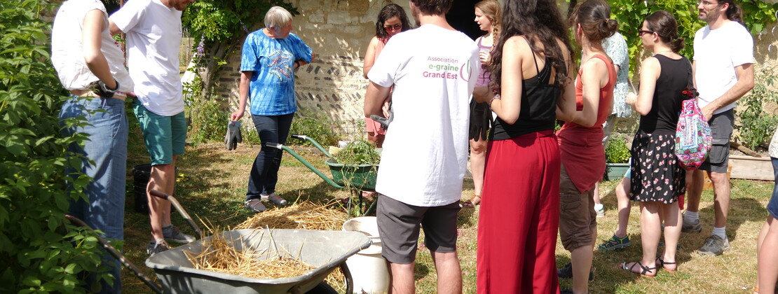 Jardin.JPG