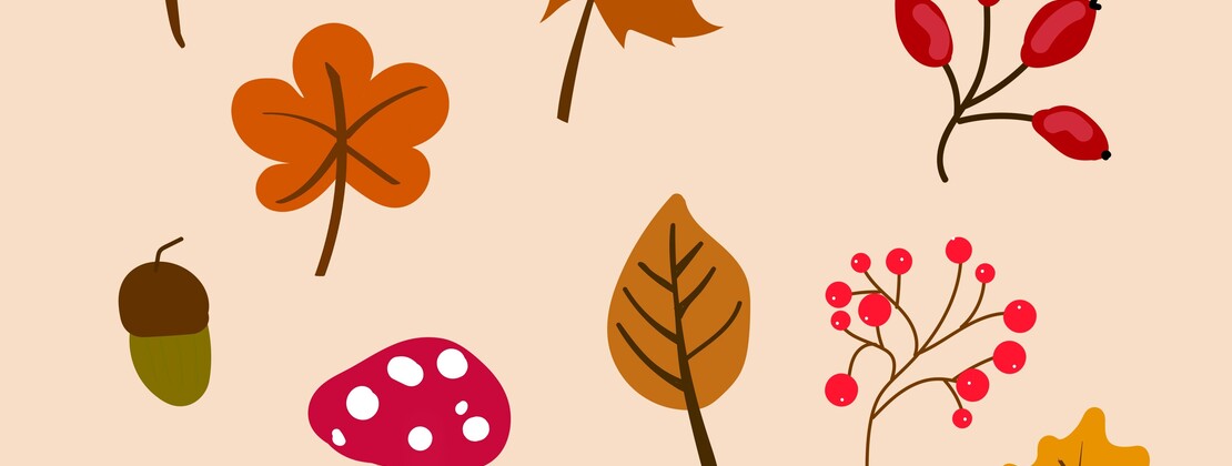automne.jpg