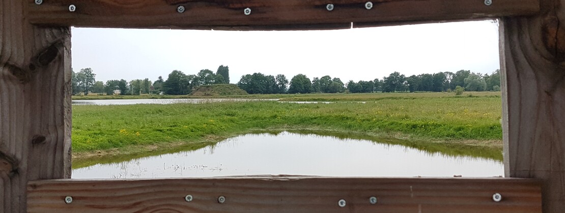 Site observation Davrey.jpg