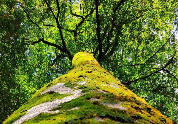 Design sans titre(1).jpg