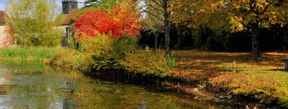 Mare. JP GIRARDOT (2).jpg