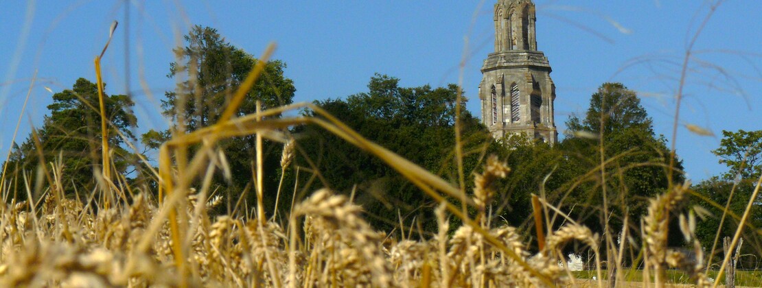 villeneuve-chapelle.JPG